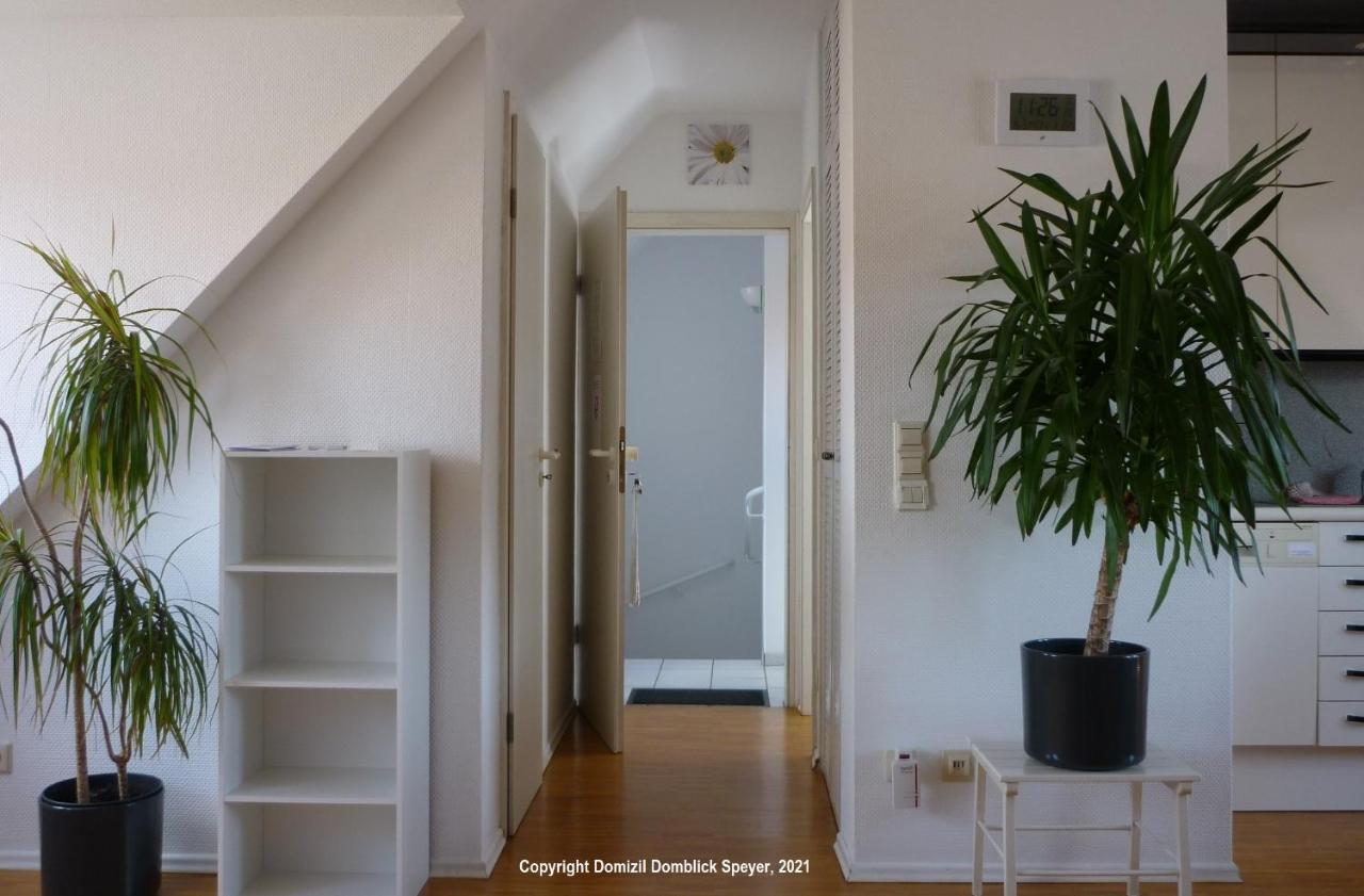 Domizil Domblick Speyer City, Garage, 50M2 מראה חיצוני תמונה